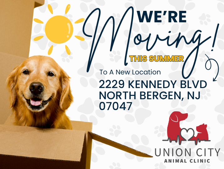 We're Moving This Summer!